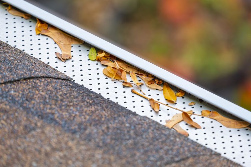 Gutter Guard Replacement in Boulder, CO