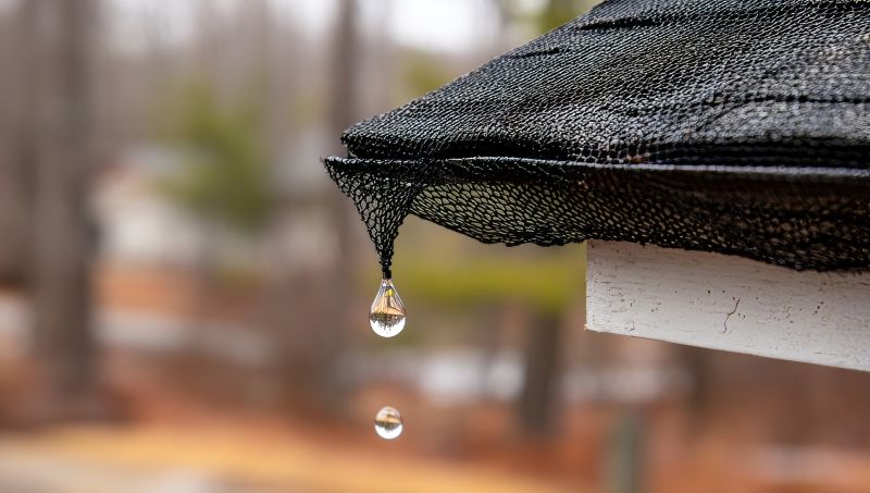 Gutter Mesh Installation in Sacramento, CA