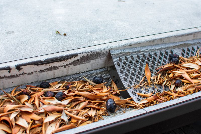 Gutter Mesh Installation in Arvada, CO