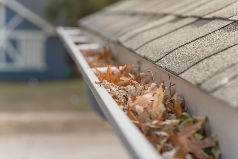 Leaf Barrier Installation in Redmond, WA